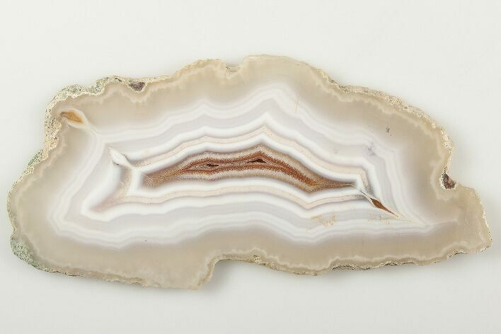 Polished Laguna Agate Slice - Mexico #198175